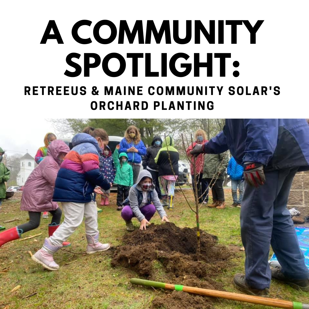 Community Spotlight: ReTreeUS and Maryland Community Solar partnering for a sustainable future