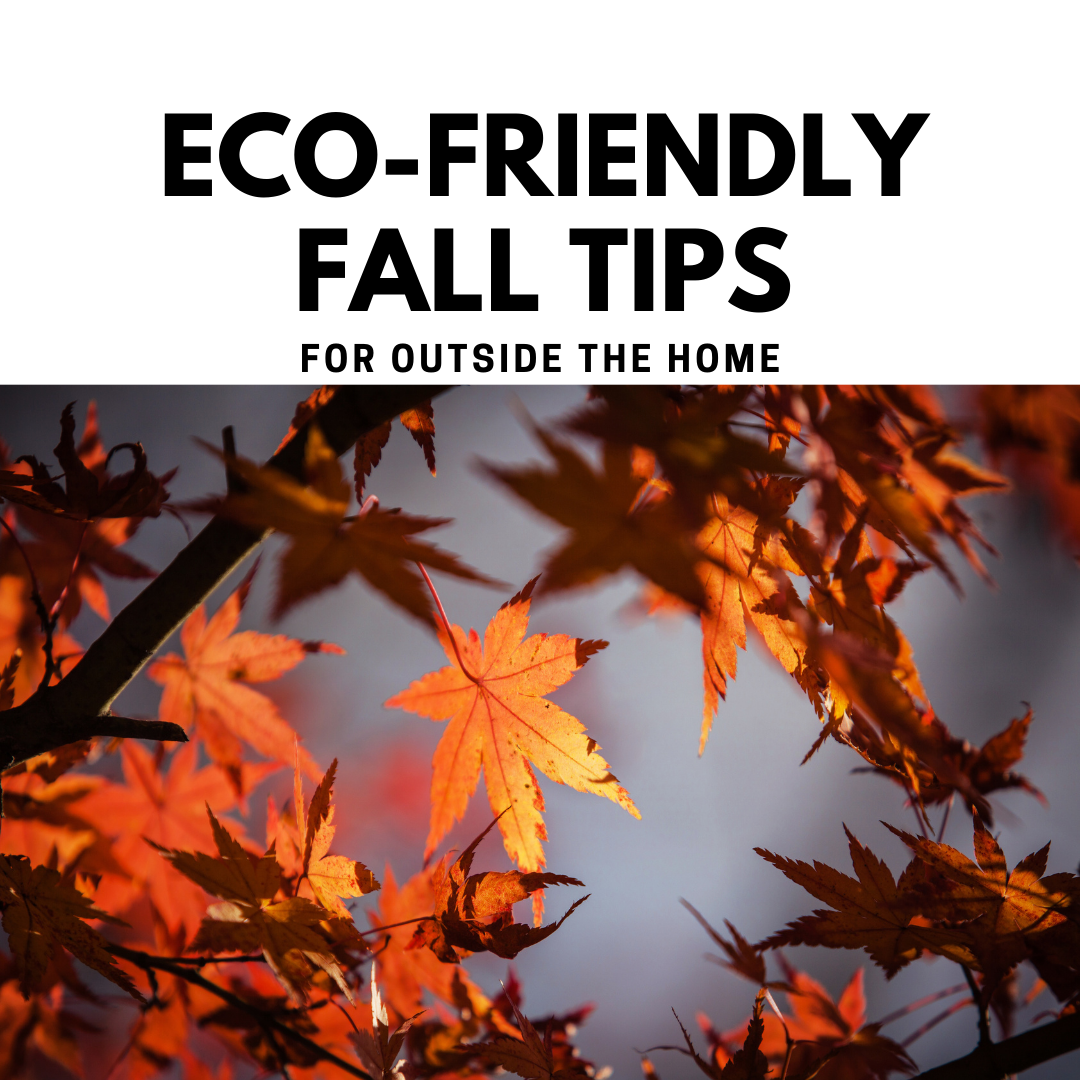 Eco-Friendly Fall Tips for Outside the Home